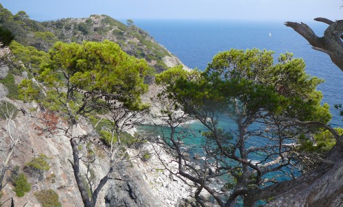 Porquerolles